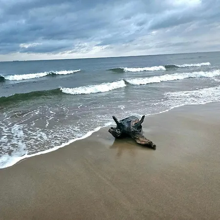 Apartment Neptun 5 1 9 1 0 2 1 3 0