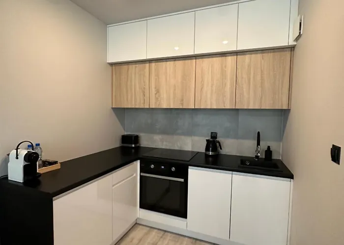 Apartament Neptun 5 1 9 1 0 2 1 3 0 Gdańsk
