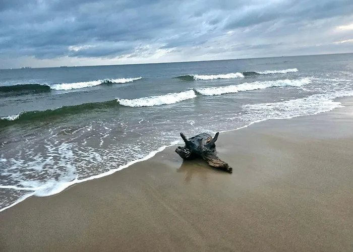 Apartament Neptun 5 1 9 1 0 2 1 3 0